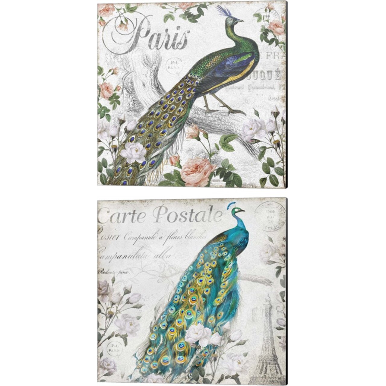 Paris Peacock & Peacock Rose by Mary Jane Creative 14" x 14" Canvas Wall Art (Set of 2)